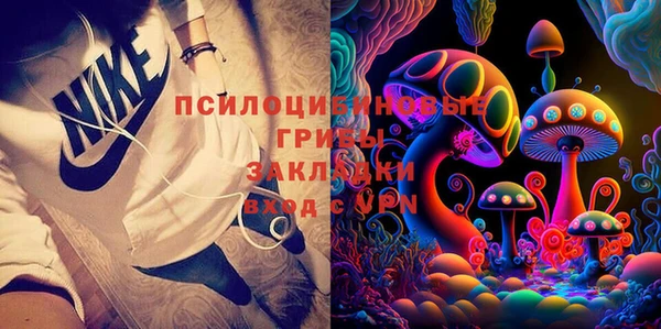 apvp Магадан