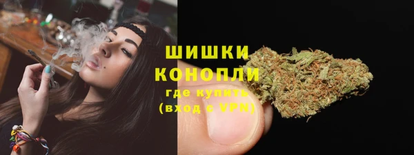 крисы Майский
