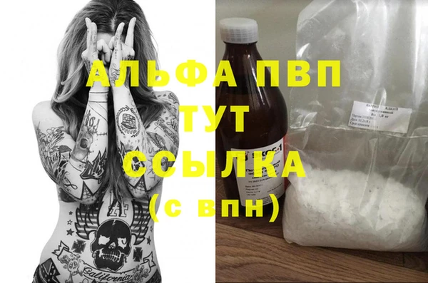 apvp Магадан