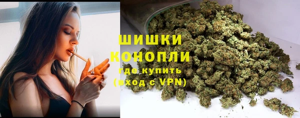 крисы Майский