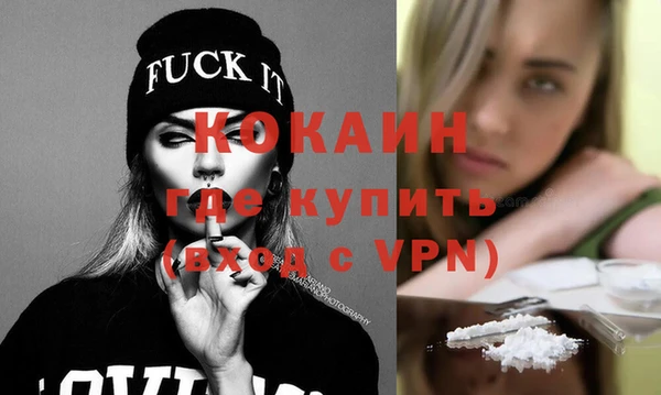 мдпв Богородск